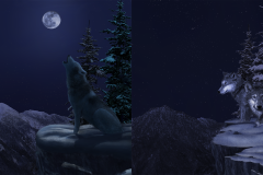 Night Wolves