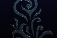 Night Flower