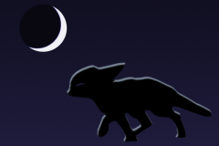 Night Fox