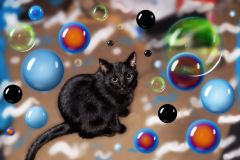 Kitty