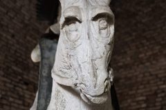 IMG_1612-scaled
