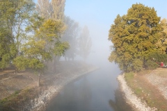 49087577042_7dbca38348_o